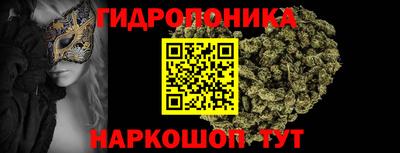 стаф Малгобек