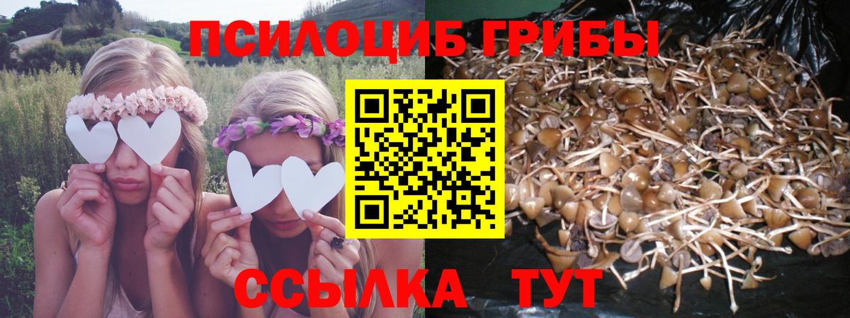 Сухой Лог  Галлюциногенные грибы MAGIC MUSHROOMS  Галлюциногенные грибы GOLDEN TEACHER  Вход с VPN 